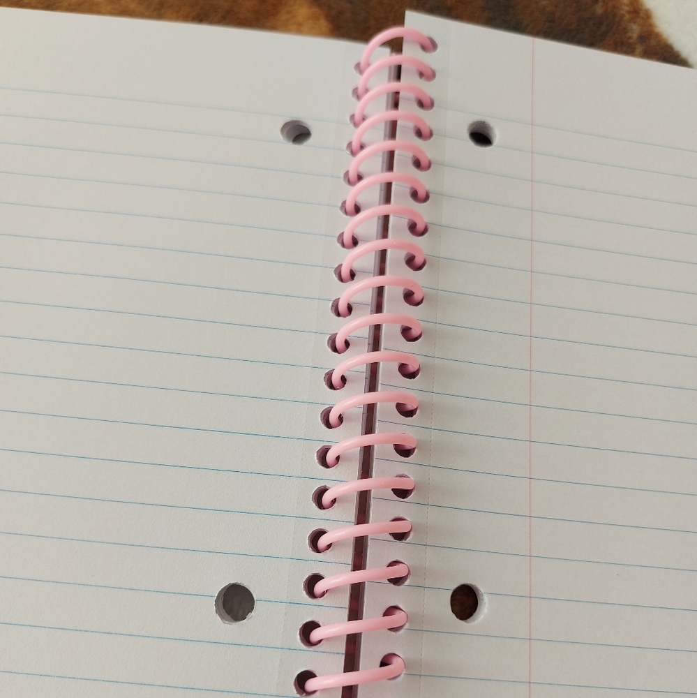 NWOT, Studio | Felines Notebook - Picture 7 of 17